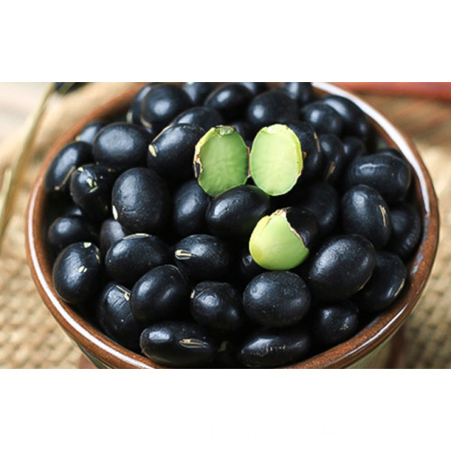 Black Bean/Black Soya Beans